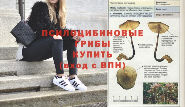 каннабис Инсар