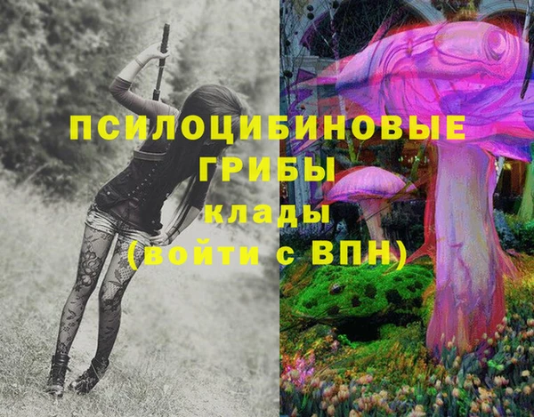 героин Инта