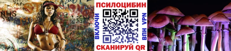 Купить где  Балтийск  Псилоцибиновые грибы мицелий 